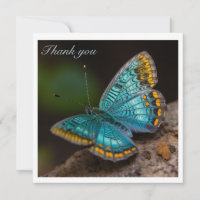 blue butterfly spreading its wings customisable