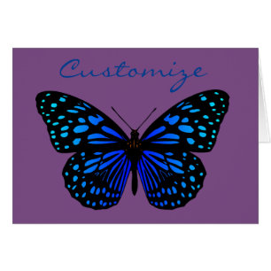 blue butterfly Thunder_Cove
