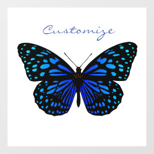 Blue butterfly Thunder_Cove