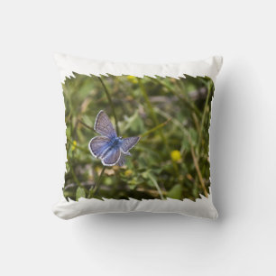 Blue Butterfly White Edge Cushion