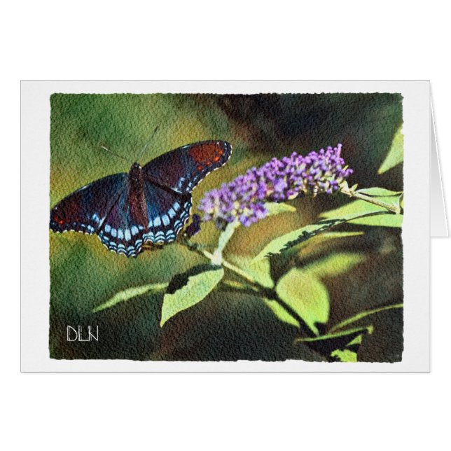 Blue Butterfly/Wildlife /Watercolor Look (Front Horizontal)