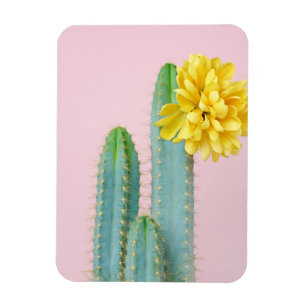 Blue Cactus Trio Magnet