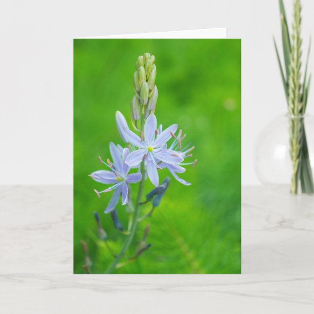 Blue Camas Blank Card (Front)