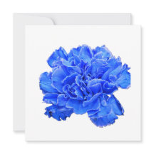 Blue Carnation Serenity – Vibrant Floral Note Card