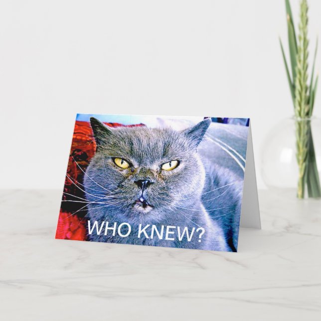 Blue Cat 60th Birthday Card (Front)