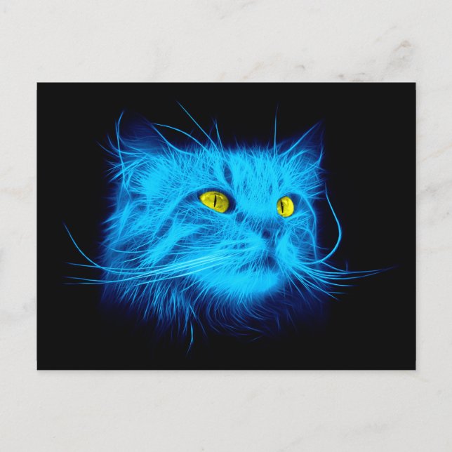 Blue Cat Face Postcard (Front)