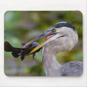 Blue Catfish Mouse Pad