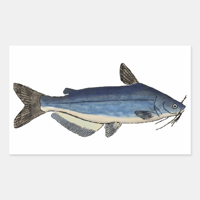 Blue Catfish Rectangular Sticker (Front)