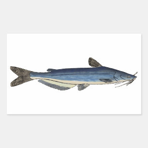 Blue Catfish Rectangular Sticker