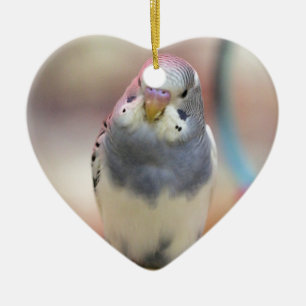 Blue Ceramic Ornament