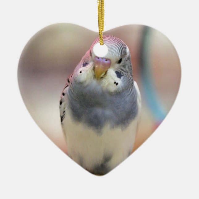 Blue Ceramic Ornament (Front)