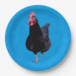 Blue Chicken Strut, Birthday Paper Plates