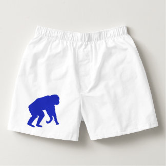 Blue Chimp Boxers
