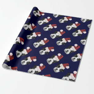 Blue Christmas Boston Terriers wrapping paper