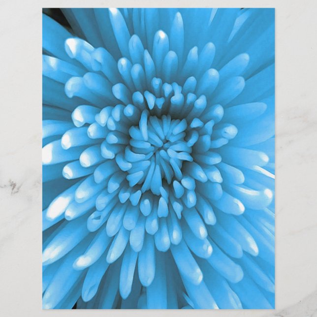 Blue Chrysanthemum (Front)