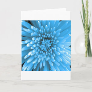 Blue Chrysanthemum Card