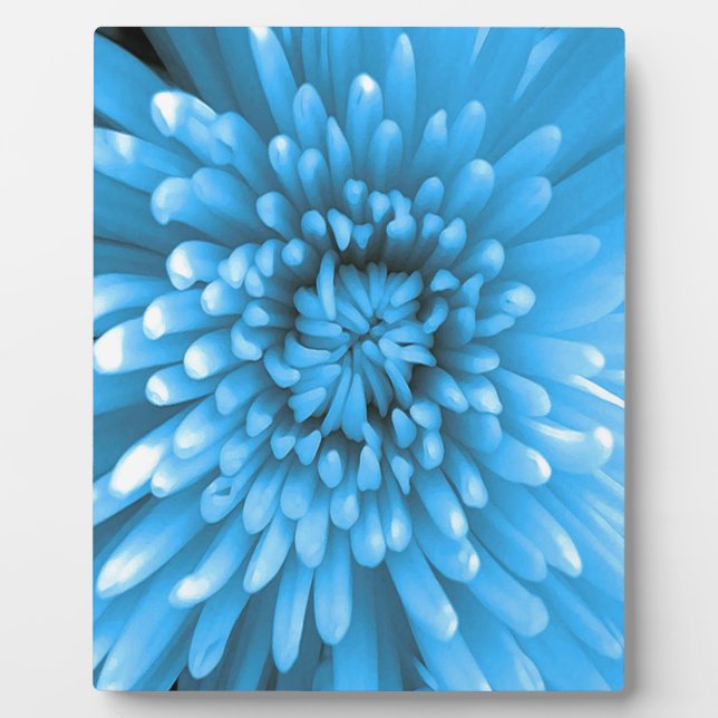 Blue Chrysanthemum Plaque (Front)