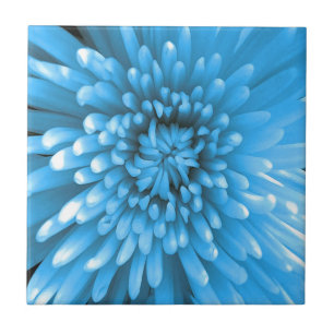 Blue Chrysanthemum Tile