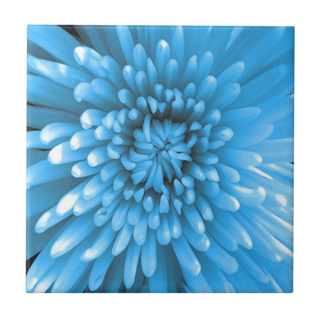 Blue Chrysanthemum Tile (Front)