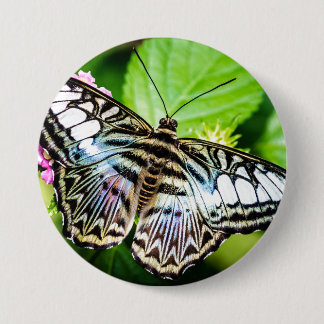 Blue Clipper Butterfly Button