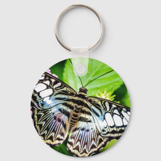 Blue Clipper Butterfly Button Keychain