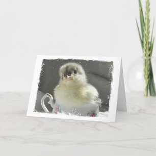 Blue Cochin Chick in a Teacup All Occasions  Card