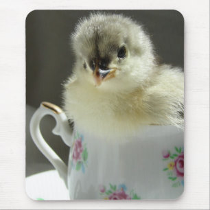 Blue Cochin Chick Mouse Pad
