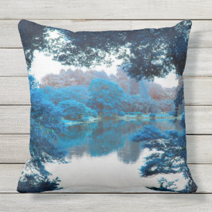 Blue colour effected cool, unique nature, lake cushion