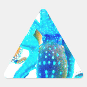 Blue colourful ocopi triangle sticker