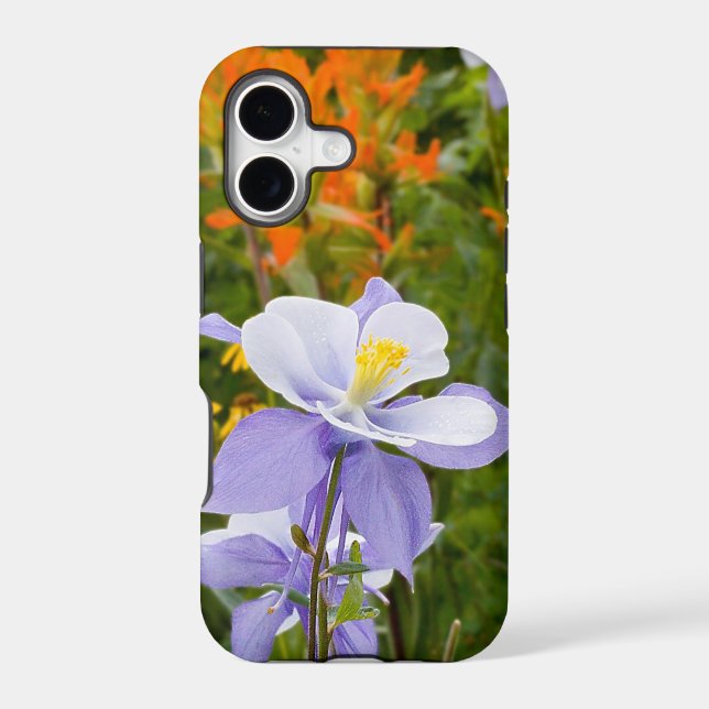 Blue Columbine (Back)