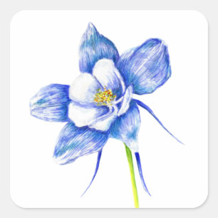 Blue Columbine Flower Square Sticker