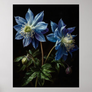 Blue Columbine Flowers Art Print Poster