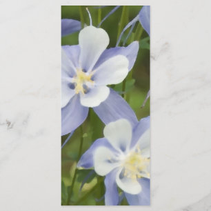 Blue Columbine Flowers Wedding Program