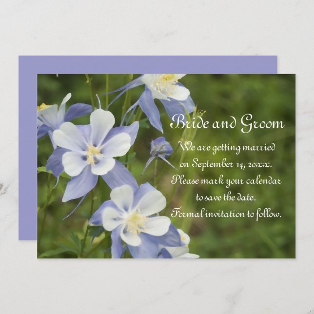 Blue Columbine Flowers Wedding Save the Date Invitation (Front/Back)