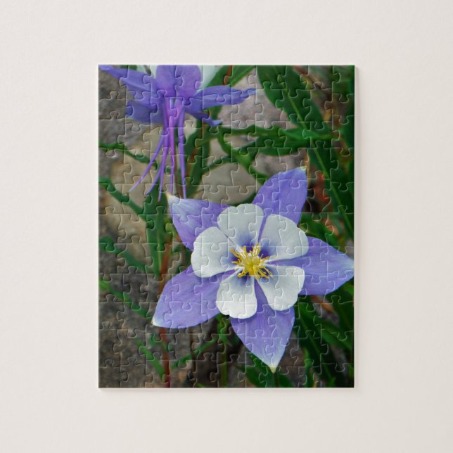 Blue columbine jigsaw puzzle (Vertical)