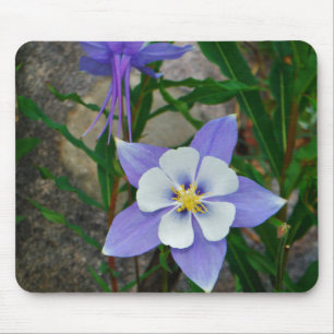 Blue columbine mouse pad