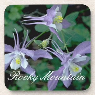 Blue Columbine, Rocky Mountain National Park Coaster