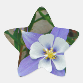 Blue columbine star sticker