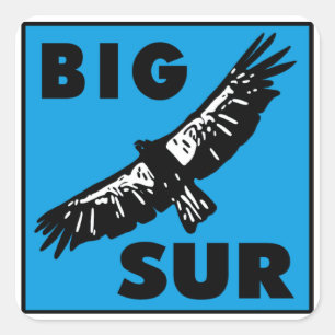 Blue Condor Square Sticker