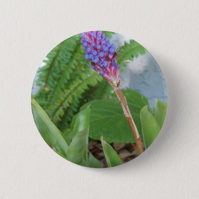Blue Cone Bromeliad flower 6 Cm Round Badge (Front)