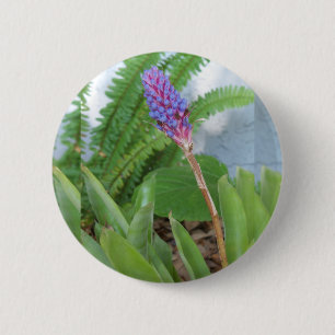 Blue Cone Bromeliad flower 6 Cm Round Badge