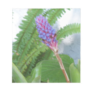 Blue Cone Bromeliad flower Notepad