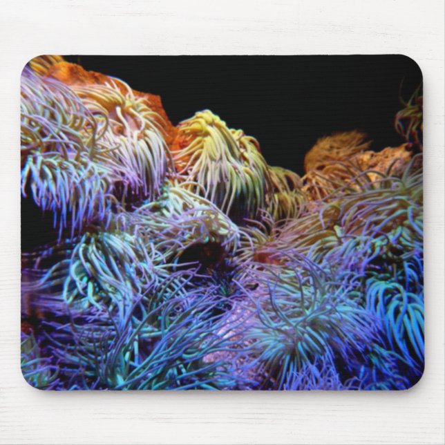 Blue Coral Mousepad (Front)