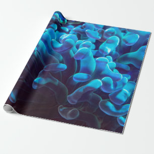 Blue coral wrapping paper