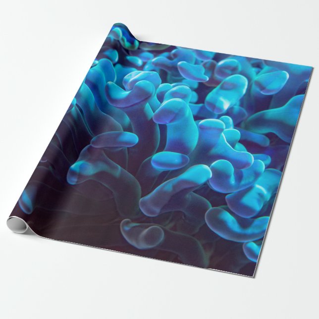 Blue coral wrapping paper (Unrolled)