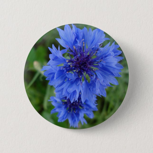 Blue Cornflower Button (Front)