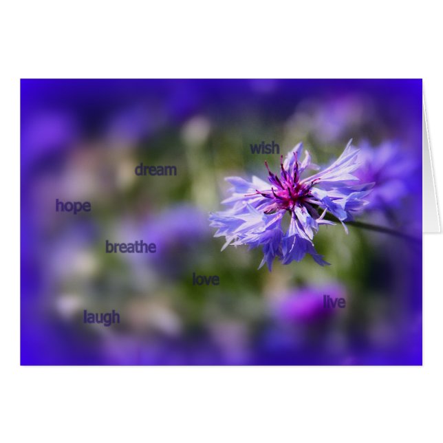 Blue cornflower Card (Front Horizontal)
