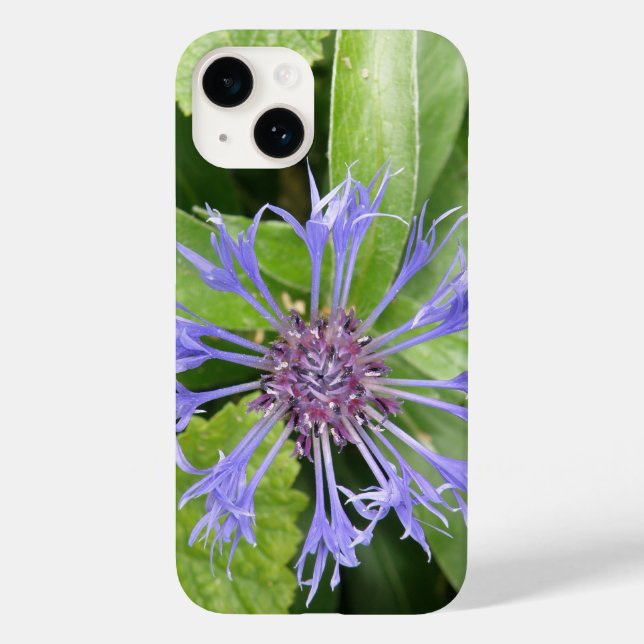 Blue Cornflower Case-Mate iPhone Case (Back)