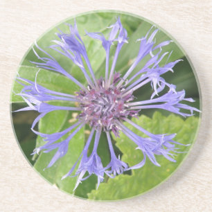 Blue Cornflower Coasters