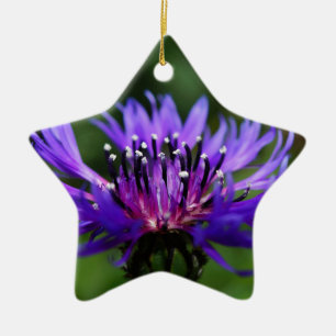 Blue Cornflower Flower Blossoms Peace Love Destiny Ceramic Ornament
